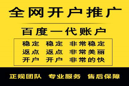 高效SEM托管服务：成功案例深度解析